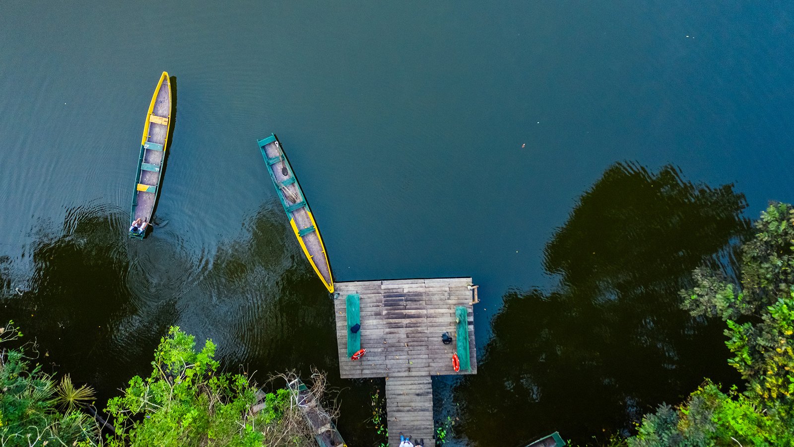 LOS VIDALEROS - EL GALLO